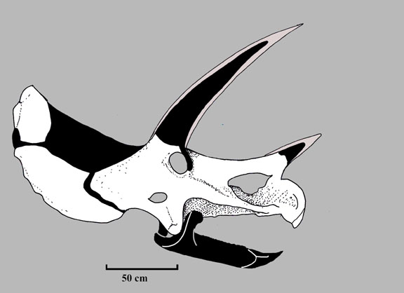 The Ceratopsia. Ceratopsia. Eig. 40.—A, Posterior view of right angular,  surangular, and articular of type of Triceratops prorsus, No. 1822, Yale  Museum; B, oblique front view of same; C, external view